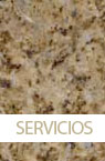 SERVICIOS